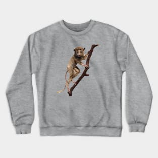 Funny Taxidermy Stuffed Animal Lemur Primate Crewneck Sweatshirt